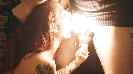 The Tenants thumbnail 2